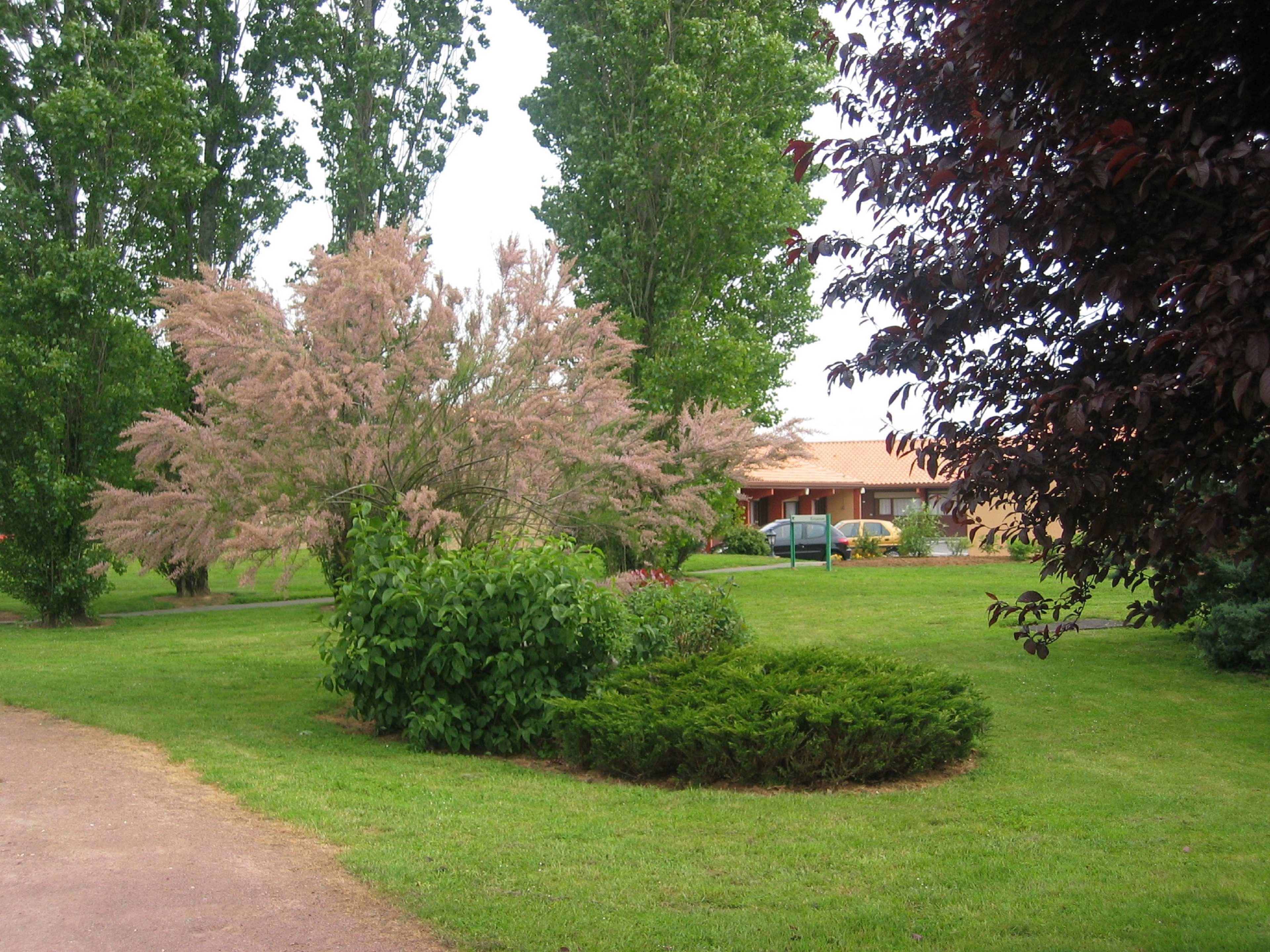Kyriad Niort - La Creche Zewnętrze zdjęcie